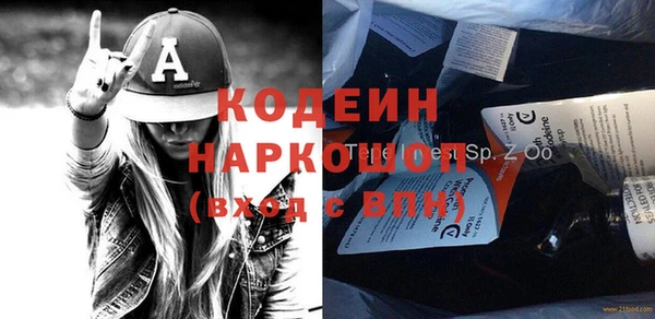 индика Дмитриев