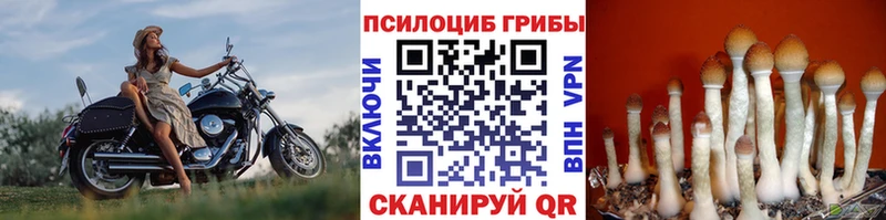 Галлюциногенные грибы ЛСД  закладки  Ладушкин 